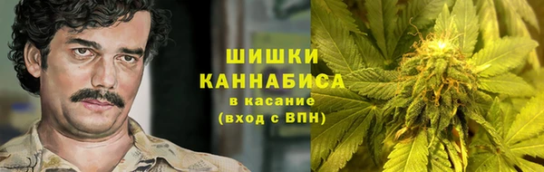 ПСИЛОЦИБИНОВЫЕ ГРИБЫ Абаза