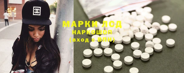 ПСИЛОЦИБИНОВЫЕ ГРИБЫ Абаза