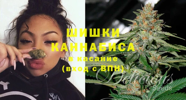 ПСИЛОЦИБИНОВЫЕ ГРИБЫ Абаза