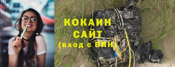 ПСИЛОЦИБИНОВЫЕ ГРИБЫ Абаза