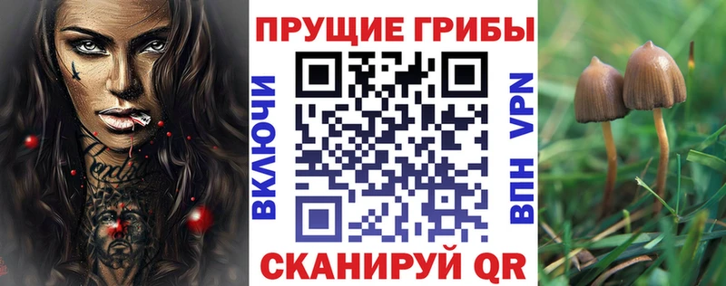 KRAKEN как войти Жердевка Псилоцибиновые грибы мицелий